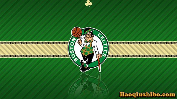 1991-92赛季NBA凯尔特人队阵容球员名单一览