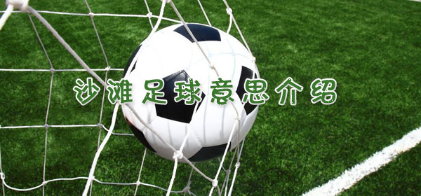 沙滩足球是什么意思_沙滩足球意思介绍