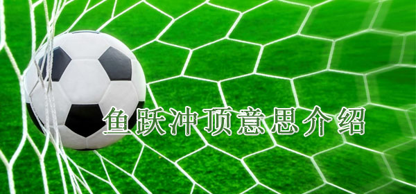 鱼跃冲顶是什么意思_鱼跃冲顶意思介绍