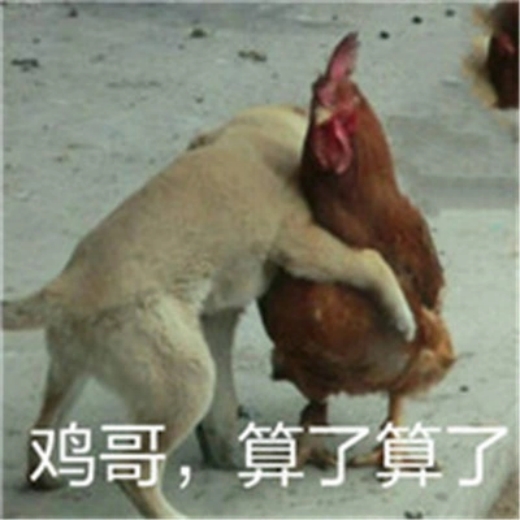 鸡哥算了算了是什么梗_鸡哥算了算了是什么意思
